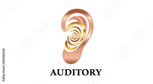 Stylized Human Ear Icon with Golden Spiral Representing Auditory Sensation and Sound Perception