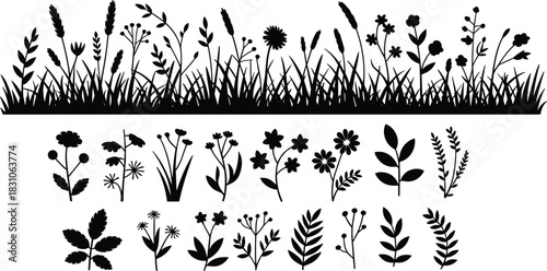 Botanical silhouette collection, wildflowers and grasses, black plant icons, nature border, floral elements, foliage chart, garden design asset