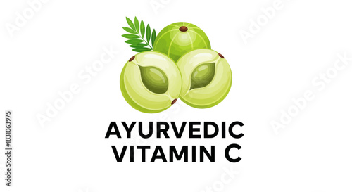 Amla Indian Gooseberry Ayurvedic Vitamin C Fruit Illustration Healthy Natural Immunity