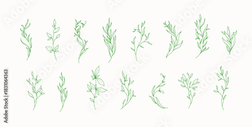 Floral set with elegant branch. Botanical foliage for wedding invitation or wall art. Vector illustration
