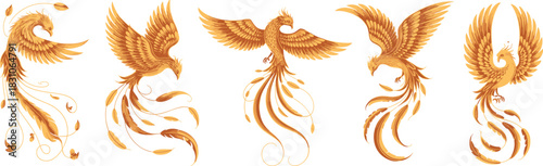 Golden phoenix bird, fire feathers, flying myth creature, fantasy rebirth symbol, magic wings, mystical flame animal, luxury vector illustration isolated on white stock background.
