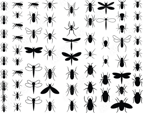 Insect silhouette collection, black bug icons, entomology vector set, flying insects, beetles, ants, dragonflies, pest control, nature study