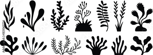 Seaweed silhouettes, ocean plants, marine algae vector icons set, coral reef botanical shapes, underwater nature graphic pack isolated white background.