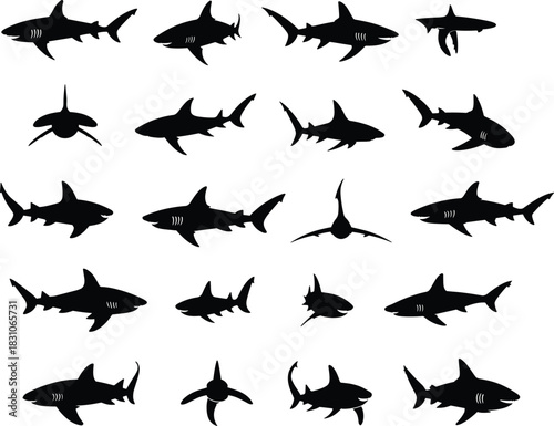 Shark silhouettes set, ocean predator vector pack, great white, hammerhead, reef and tiger shark shapes, swimming and top view poses, black isolated wildlife icons, white background bundle