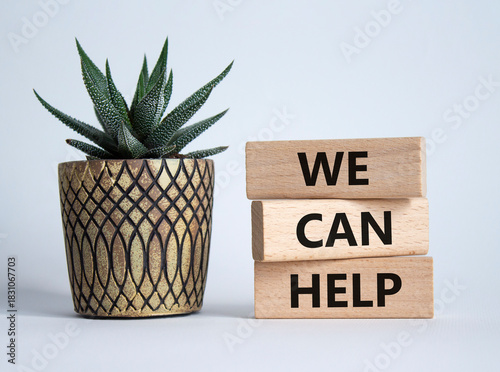 We can help symbol. Wooden blocks with words We can help. Beautiful white background with succulent. Business and We can help concept. Copy space.