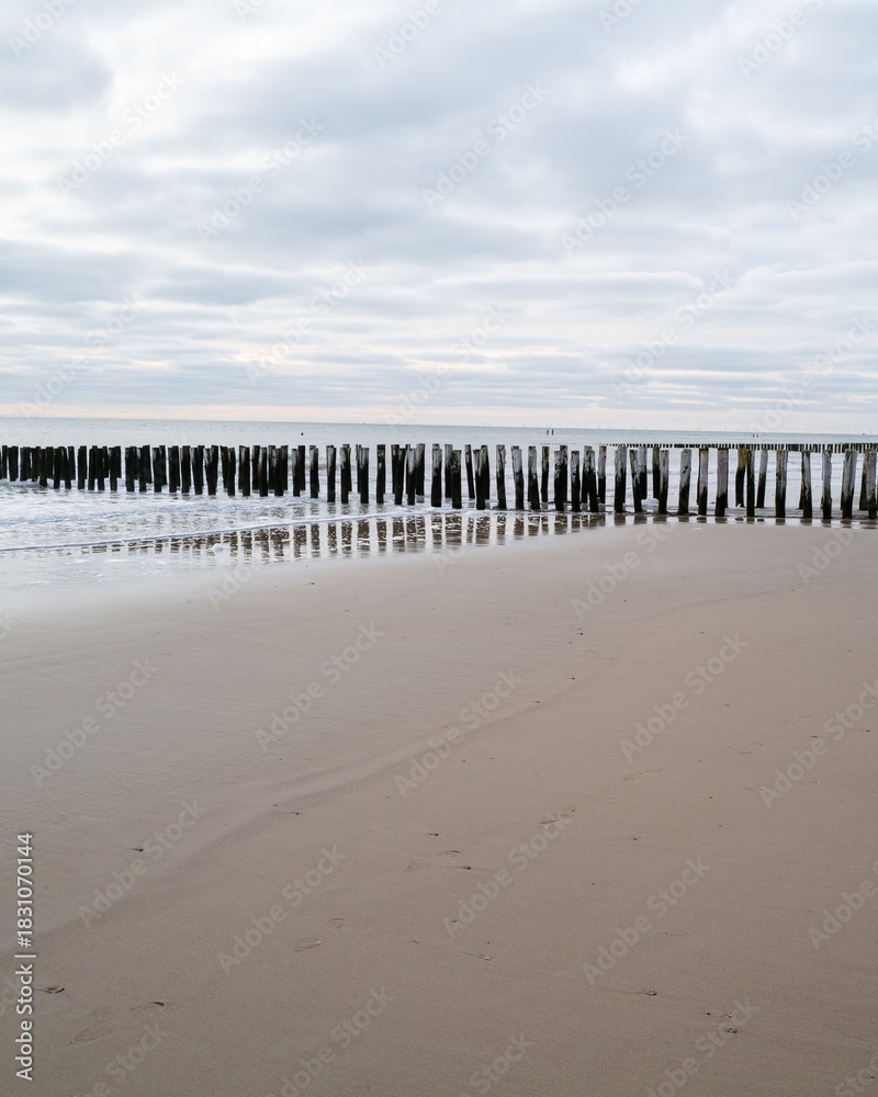 Fototapeta premium lonely beach with waves and sky in zeeland, the netherlands