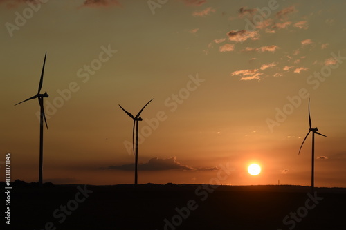 lever de soleil sur des éoliennes à contre-jour; ciel dégradé couleur bleue et orange avec des petits nuages cumulus blancs gris et noirs