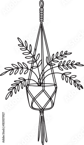 Continuous Line Art Illustration of Potted Plant in Macrame Hanger