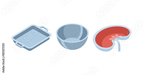 Isometric kitchenware and red kidney illustration