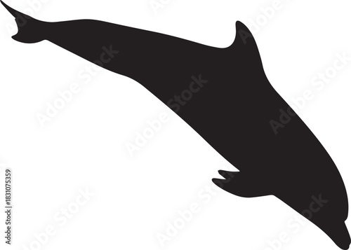Silhouette of a dolphin leaping out of the water