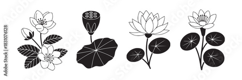 Four floral arrangements in black and white featuring various flowers and lotus pods with leaves design