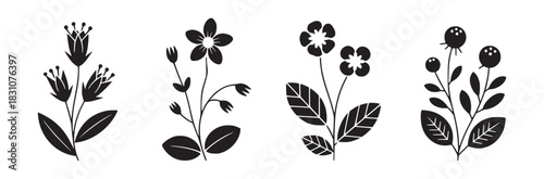 Four black and white floral arrangements with different flower and leaf shapes on a white background