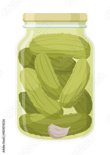 Homemade pickled cucumber. Clip-art of marinated food for packaging, label, menu, signboard or showcase. Fermented veggies, crunch gherkin with salt. Healthy vegetarian food