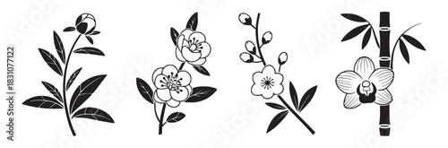Black and white floral illustrations of peony blossoms cherry blossoms and bamboo with orchid