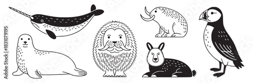 A collection of arctic animals including a narwhal seal puffin and other creatures in black and white