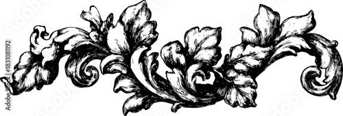 Ornamental floral vine drawing in black and white. Detailed vector illustration showcasing elaborate foliage and curves in a unique set.
