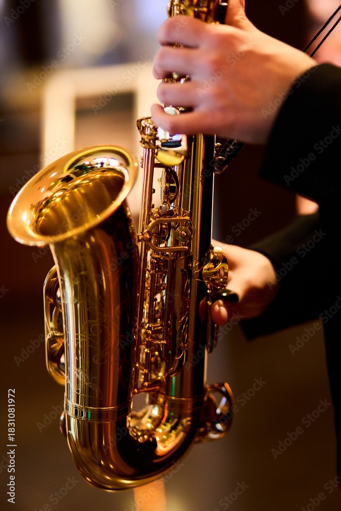 Obraz premium Close-Up of Jazz Musician with Saxophone