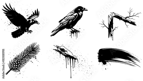 Ink style ravens and nature elements in dramatic black and white design