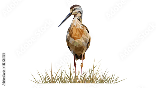 Geometric bird design in low poly art with standing pose on grass