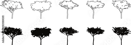 Collection of tree silhouettes and outline variations in multiple styles. Minimal line drawings and bold solid shapes offer versatile design options. Ideal for nature graphics, branding, 