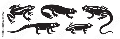 A collection of six black and white vector illustrations of various frog and salamander species