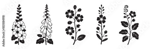 Five black and white floral illustrations showcasing different flower and plant designs in a row