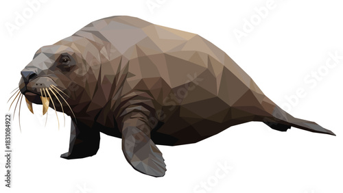 Geometric low poly walrus with tusks on white background