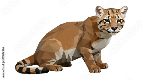 Geometric low poly style tiger cub on white background