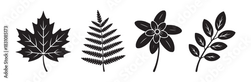 Illustration of maple leaf fern flower and leafy branch in black and white on a white background