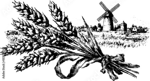 Wheat bundle and windmill in vintage line drawing. Black and white vector illustration of rural agriculture landscape presented as an outline set.