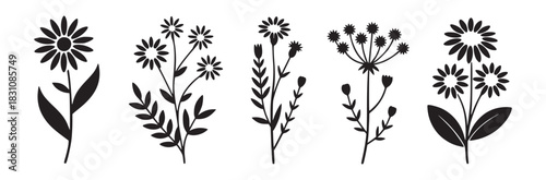 A set of five floral illustrations in black silhouette isolated on a white background vector format