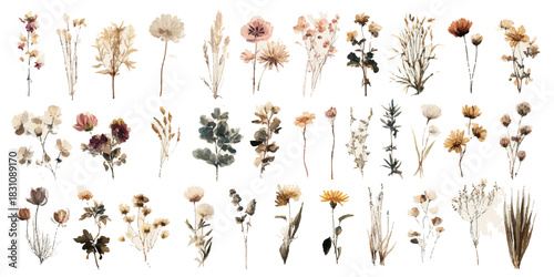 Collection of delicate dried flowers and botanicals arranged in a grid on a white background
