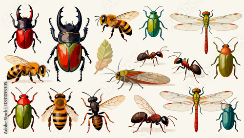 This vibrant illustration displays a diverse collection of colorful insects—including bees, ants, a beetle, dragonfly, mantises, grasshoppers, a fly, and a wasp