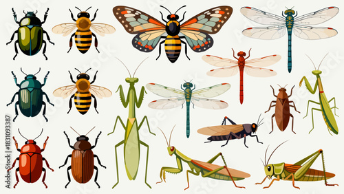 This vibrant illustration displays a diverse collection of colorful insects—including bees, ants, a beetle, dragonfly, mantises, grasshoppers, a fly, and a wasp