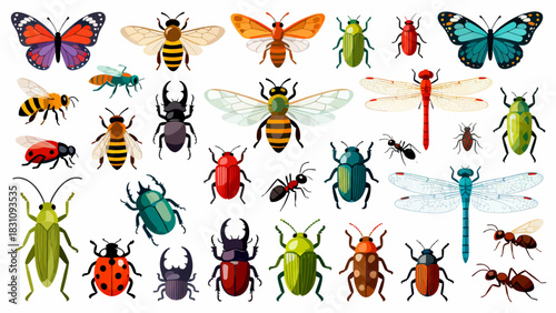 This vibrant illustration displays a diverse collection of colorful insects—including bees, ants, a beetle, dragonfly, mantises, grasshoppers, a fly, and a wasp