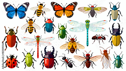 This vibrant illustration displays a diverse collection of colorful insects—including bees, ants, a beetle, dragonfly, mantises, grasshoppers, a fly, and a wasp