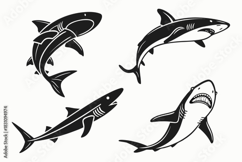 Minimalist dogfish shark icon set with nautical colors