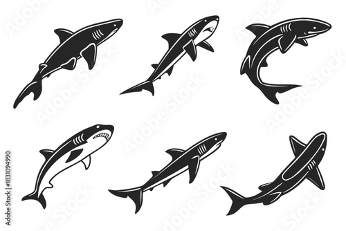 Minimalist dogfish shark icon set with ocean elements