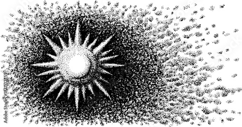 Sun with rays radiating outward in black and white. Simple vector illustration featuring abstract halo effects for a modern visual design.