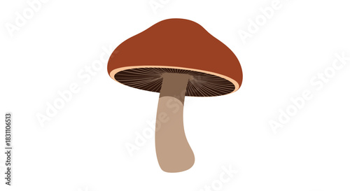 A vibrantly colored, solitary mushroom with a rich reddish-brown cap and a light brown stem, depicted in a simple, clean illustration.