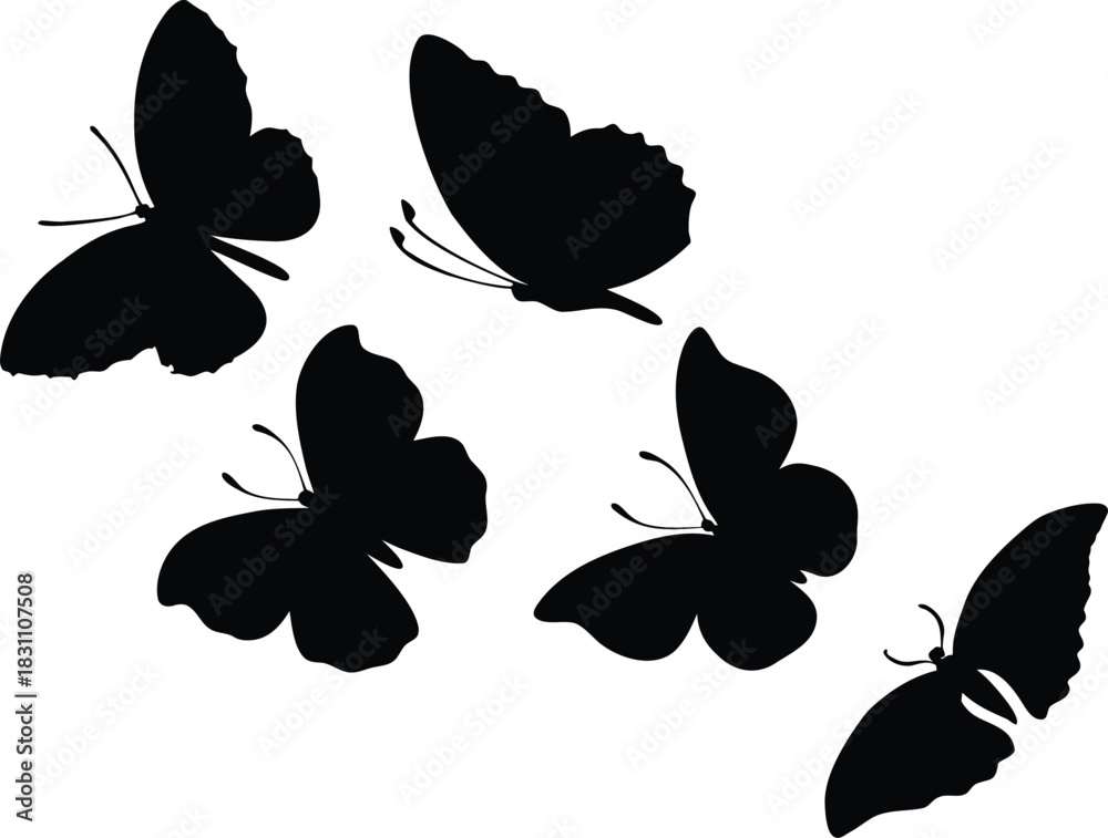Fototapeta premium Five black butterfly silhouettes flying in different directions