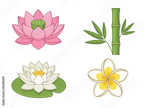 A collection of four illustrated Asian and tropical plants: a pink lotus, green bamboo, a white water lily, and a plumeria flower.