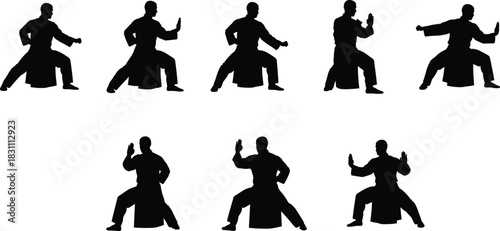 Martial Arts Silhouette Set, Kung Fu, Tai Chi, Karate Poses, Fighting Stance Collection, Wushu Training Vector Illustration