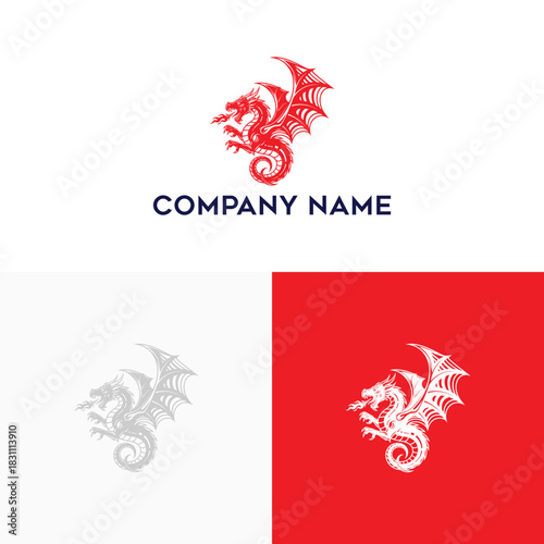 Dragon Logo Design Creative Emblem for Company Branding with Mythical Creature Icon