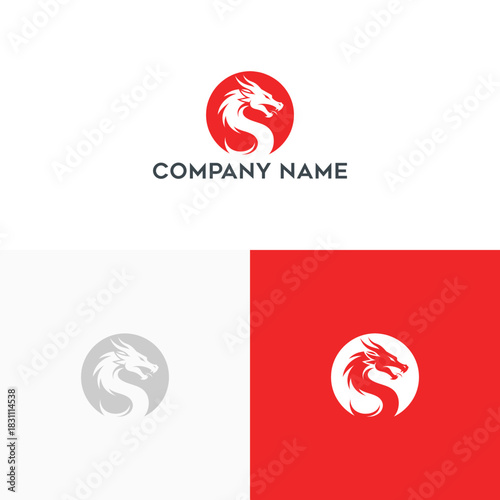 Logo design featuring a stylized dragon head in a red circle, representing power and mythical creatures, suitable for branding and identity