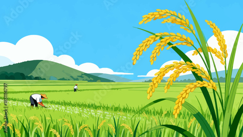 This bright, flat-style illustration depicts a lush green rice field under a sunny blue sky with clouds, backed by distant mountains, capturing a peaceful rural agricultural landscape.