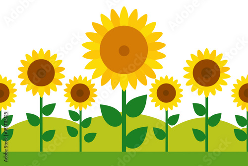 Field of bright sunflowers