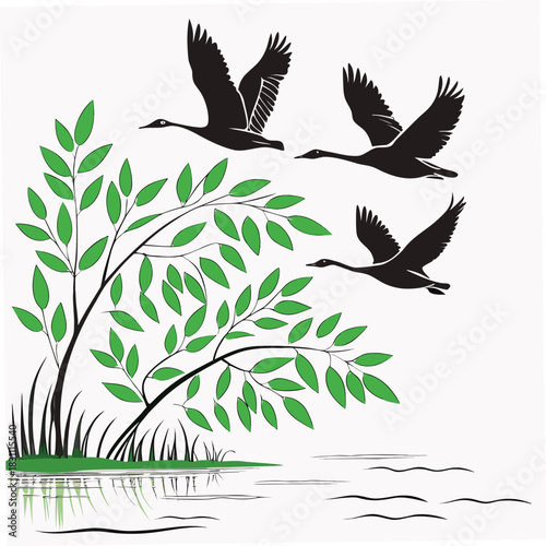 Three silhouette geese flying over a tree with green leaves and water reflection