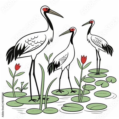 Three elegant white cranes with red markings on their heads stand in a pond with lily pads and red flowers