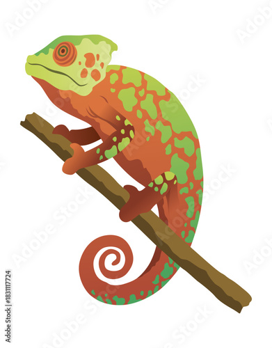 Chameleon lizard. Reptiles with curved tail and camouflage skin, tropical wildlife. Vector exotic animal illustration